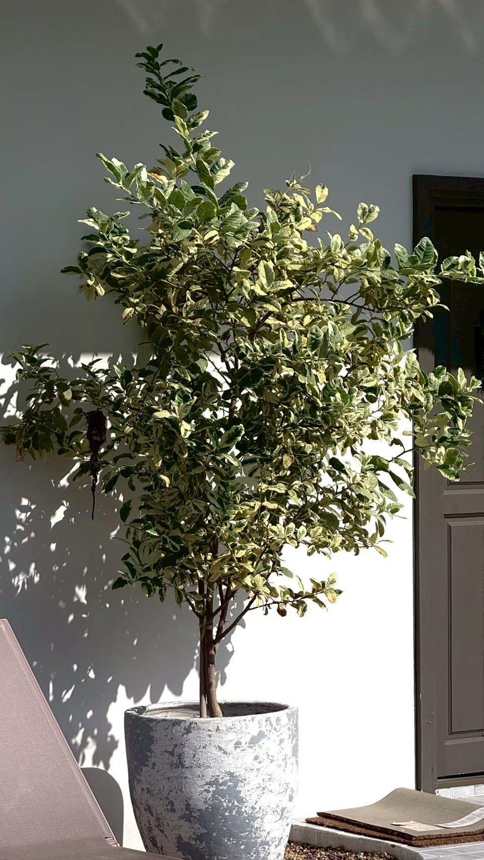 ผลงาน /bangsan (15).jpg